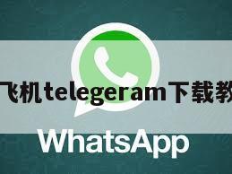 纸飞机telegeram下载教程